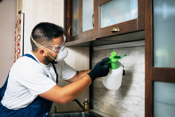 Best Local Pest Control Services  in Adrian, MO