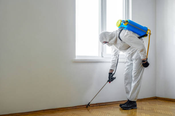 Best Commercial Pest Control Services  in Adrian, MO