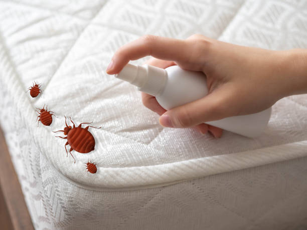 Best Pest Inspection Near Me  in Adrian, MO