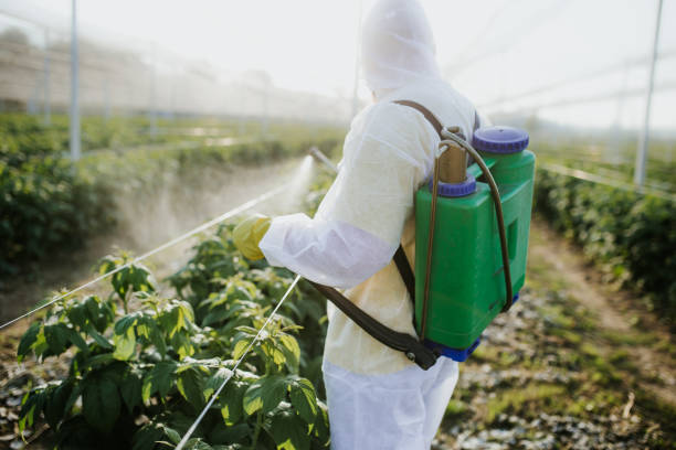 Best Affordable Pest Control Services  in Adrian, MO